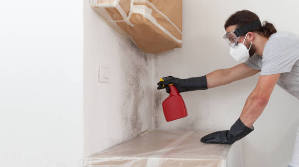 Professional Bathroom Mold Removal technician working in Alexandria, KY